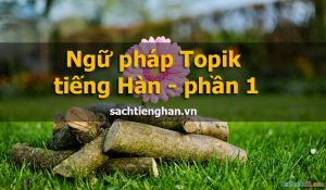 Ngữ pháp Topik tiếng Hàn thông dụng - phần 1